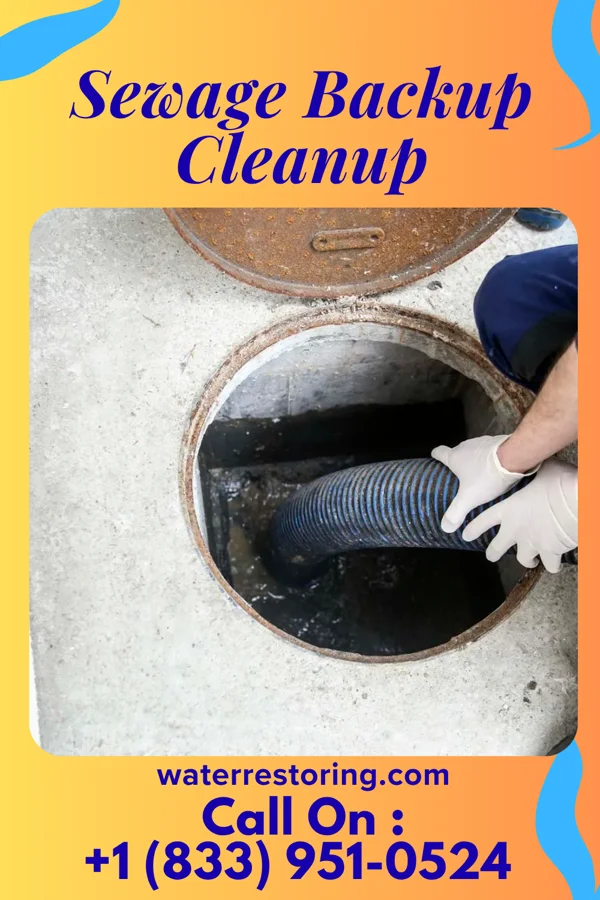 Sewage Backup Cleanup in Braden, TN