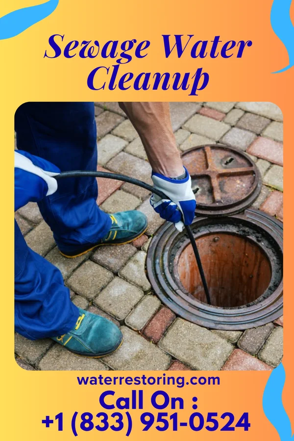 Sewage Water Cleanup in Braden, TN